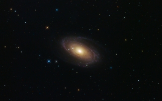 M81 Bodes galaxy